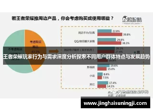王者荣耀玩家行为与需求深度分析探索不同用户群体特点与发展趋势