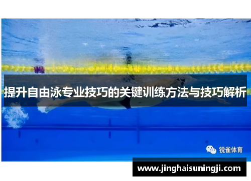 提升自由泳专业技巧的关键训练方法与技巧解析